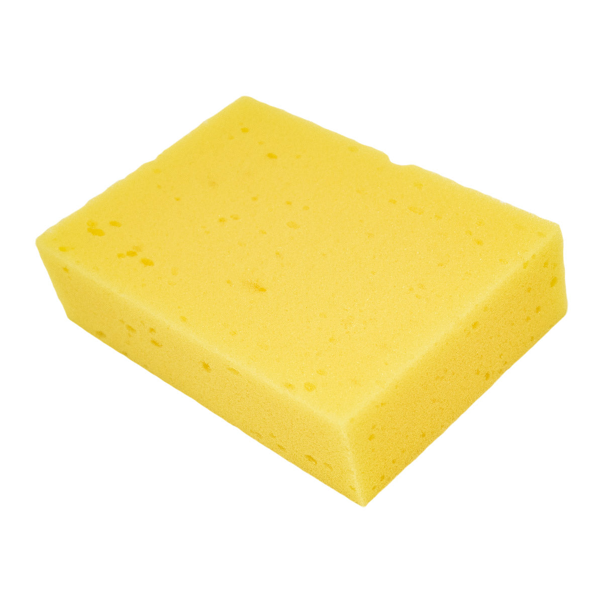 large sponge